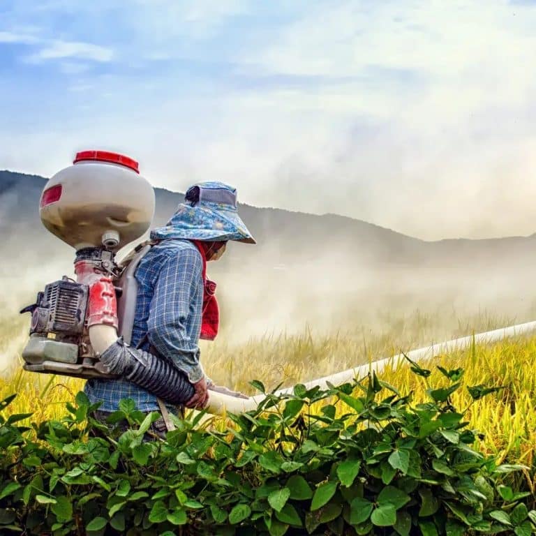 Worker Spraying Crops in Blog about Glyphosate in Honey