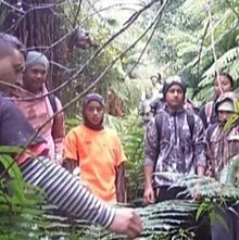 Young People In Te Urewera Forest - Youth Programme Assisted By Manawa Honey NZ, Ruatāhuna, New Zealand