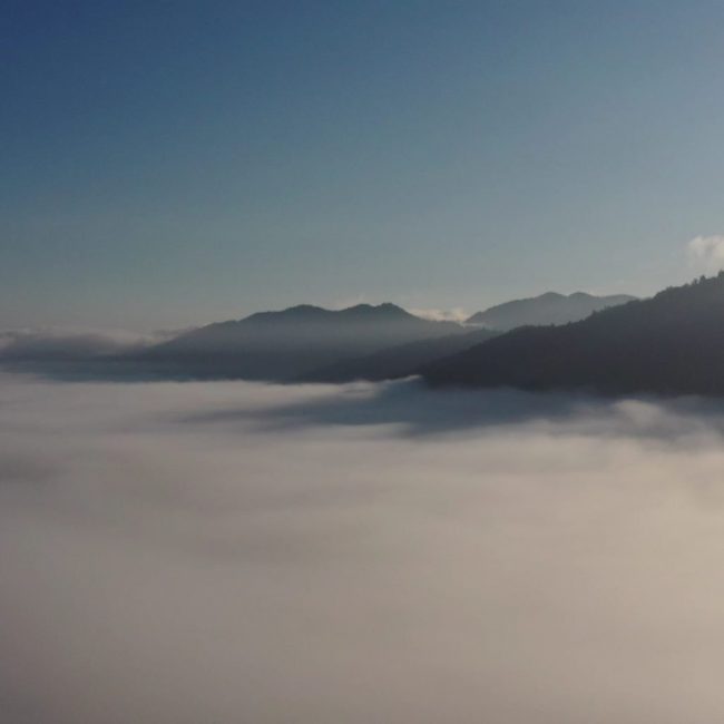 Blanket Of Mist Over Ruatahuna Valley In Te Urewera Forest Where Manawa Honey NZ Is Based Mist Over Ruatahuna Valley In Te Urewera Forest Where Manawa Honey NZ Is Based