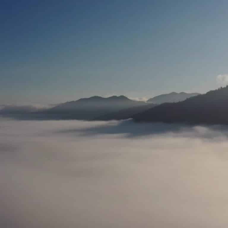 Mist Over Ruatahuna Valley In Te Urewera Forest Where Manawa Honey NZ Is Based