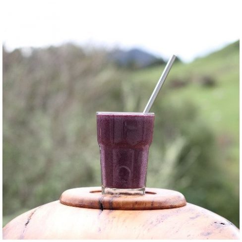 Rewarewa Honey and Blueberry Smoothie - an Antioxidant Tonic Recipe by Manawa Honey NZ, Ruatahuna, New Zealand