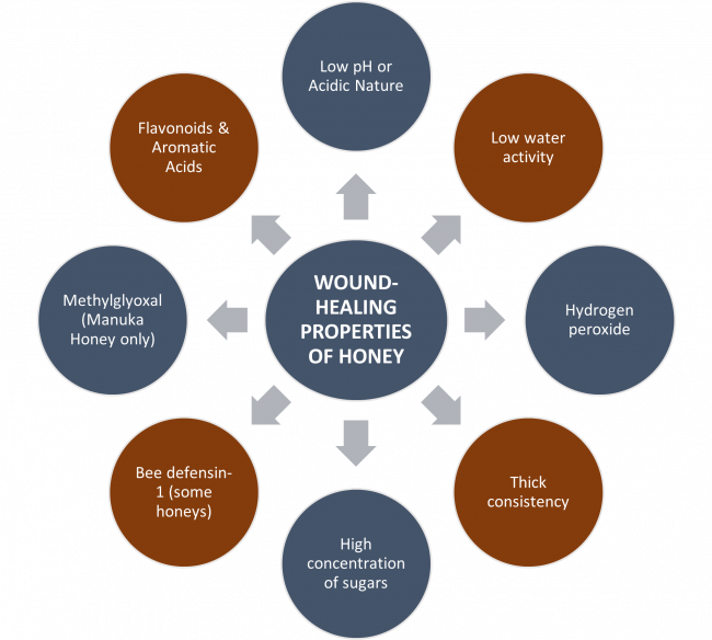 Wound Healing Properties of Honey for Article on Benefits of Honey For Wound Healing Diagram of Wound Healing Properties of Honey for Article on Benefits of Honey For Wound Healing