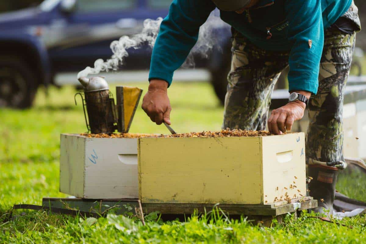beekeeper hekenoa tekurapa manawa honey nz