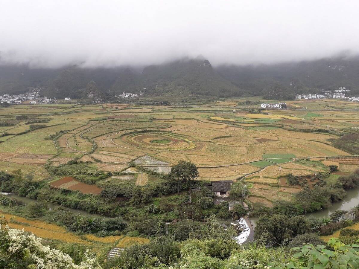 ten thousand mountains china manawa honey nz