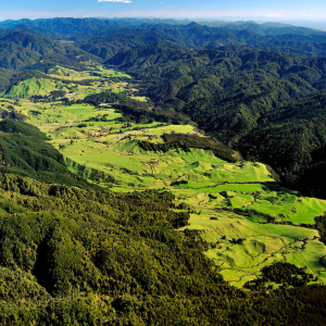tuawhenua forest fund