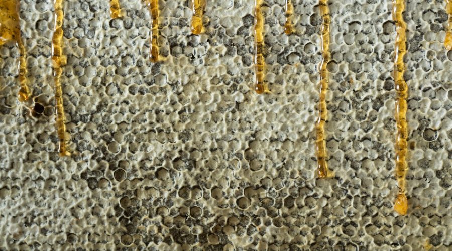 Close-up of golden honey dripping down from a beehive frame filled with natural honeycomb cells, showcasing fresh raw honey during harvesting.